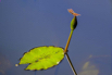 OasisSpa_2026_00332.jpg