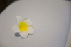 OasisSpa_2026_01689.jpg