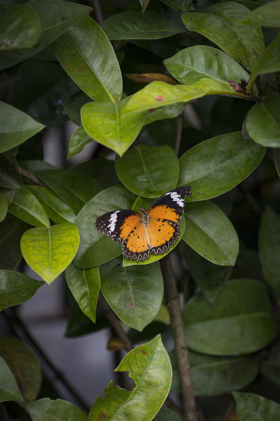 PHE_2018_04383.jpg
