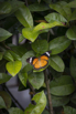 PHE_2018_04383.jpg