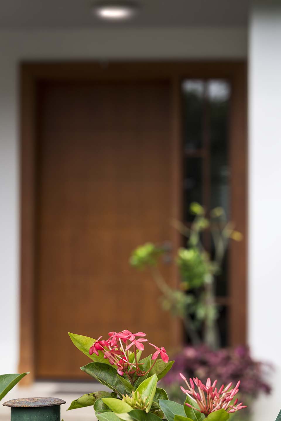 PHE_2018_04384.jpg