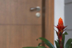 PHGE_2016_05039.jpg