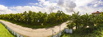 L1 East @ 5m.jpg