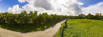 L2 East @ 10m.jpg