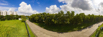 L2 North @ 10m.jpg