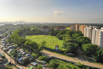 YOMA_Land_Evergreen_2020_00003.jpg