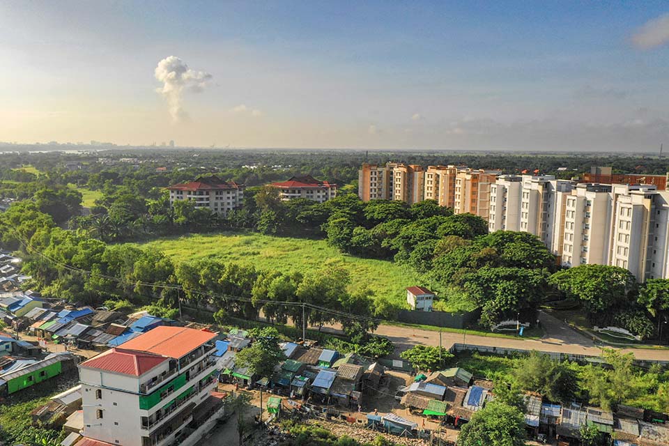 YOMA_Land_Evergreen_2020_00008.jpg