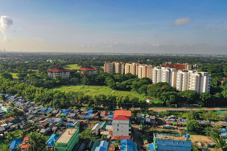 YOMA_Land_Evergreen_2020_00011.jpg