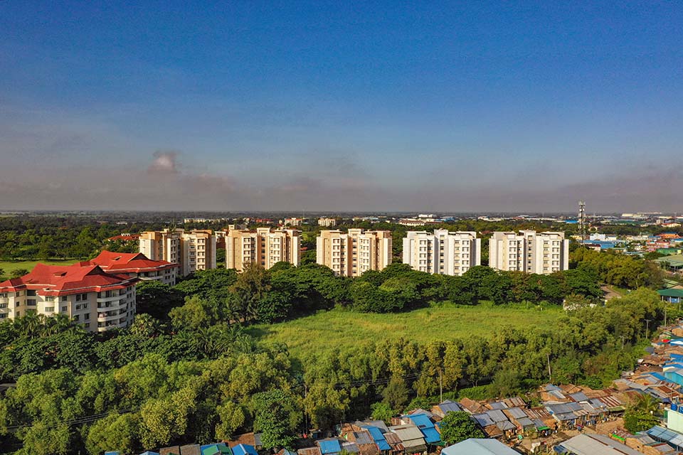 YOMA_Land_Evergreen_2020_00022.jpg