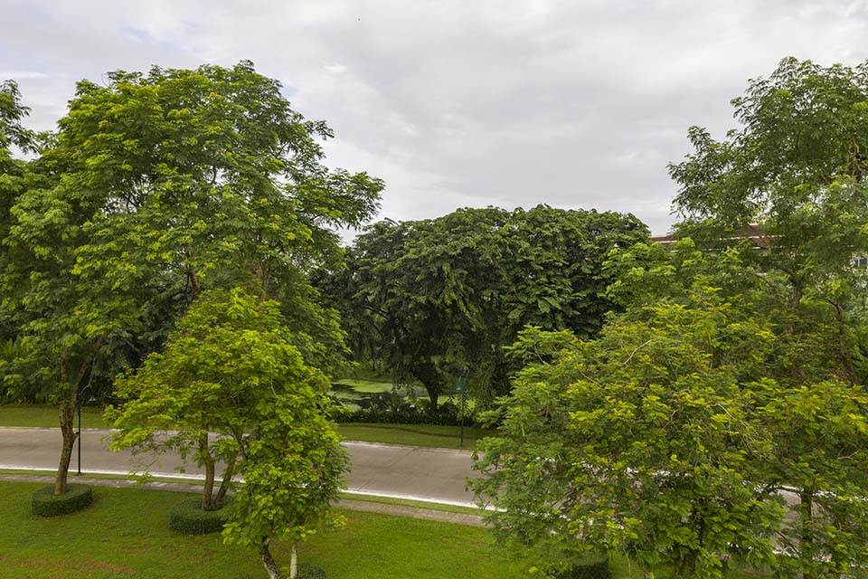 YOMALand_2019_00440-8.5m.jpg