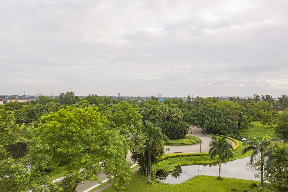 YOMALand_2019_00445-15.5m.jpg