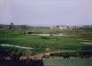 PHE_Golf_2022_00006.jpg