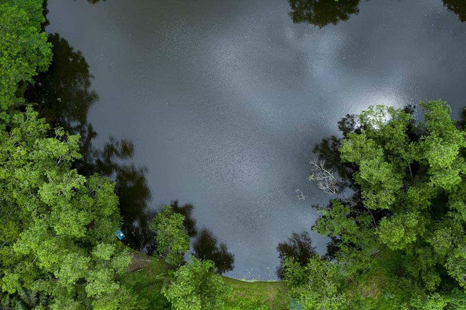 PHE_2020_00040.jpg