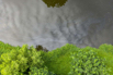 PHE_2020_00074.jpg