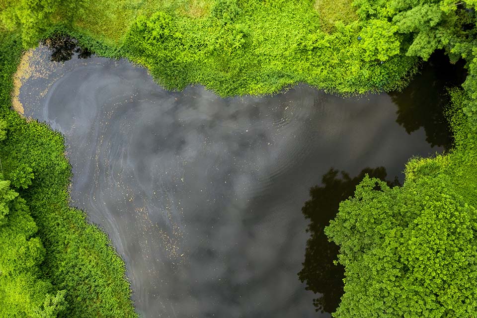 PHE_2020_00078.jpg
