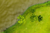 PHE_2020_00085.jpg