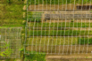 PHE_2020_00091.jpg