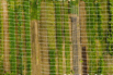 PHE_2020_00092.jpg