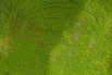 PHE_2020_00093.jpg