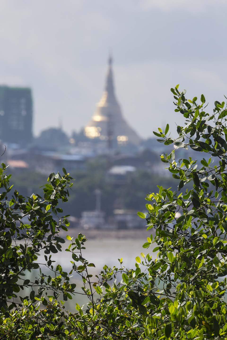 PHGE_2016_01943.jpg
