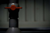 PHGE_2015_00234.jpg