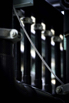 PHGE_2015_00271.jpg