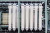 PHGE_2015_00391.jpg
