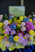 PHH_2024_16465.jpg