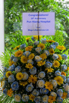 PHH_PHE_2025_00018.jpg