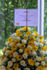 PHH_PHE_2025_00019.jpg