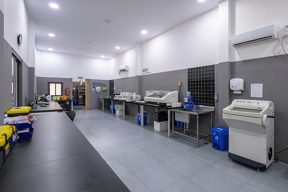 PHH_2024_12943.jpg