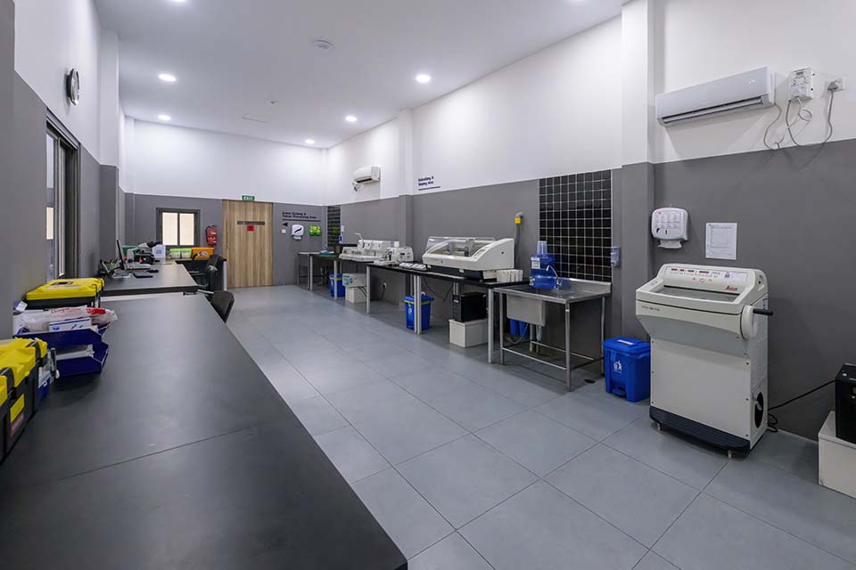 PHH_2024_12946.jpg