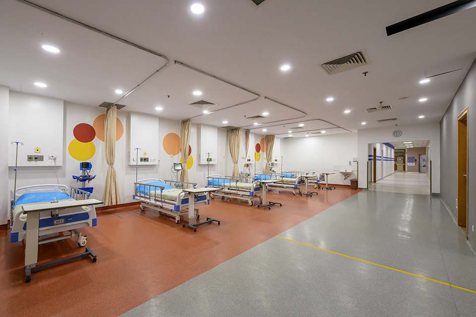 PHH_2024_13173.jpg