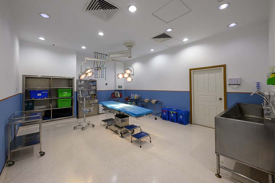PHH_2024_13220.jpg