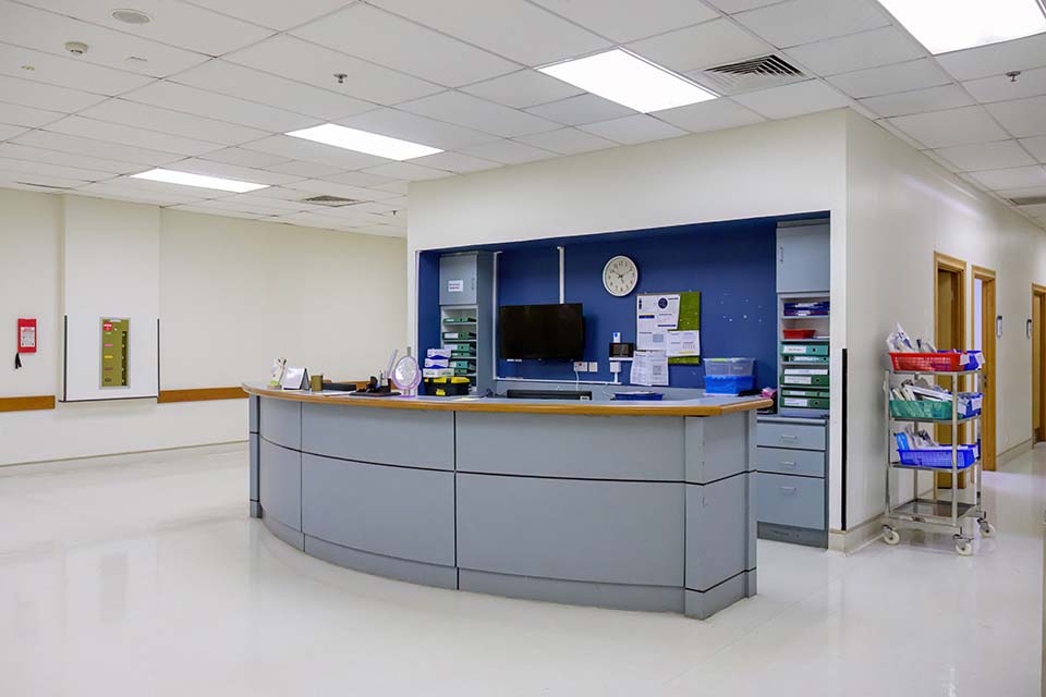 PHH_2024_12917.jpg