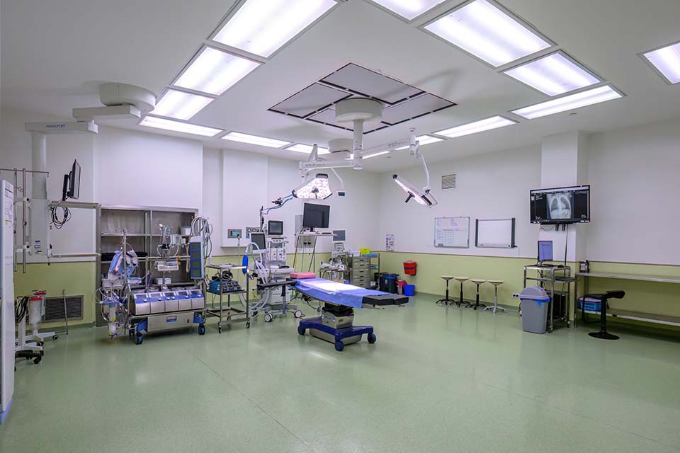 PHH_2024_12922.jpg