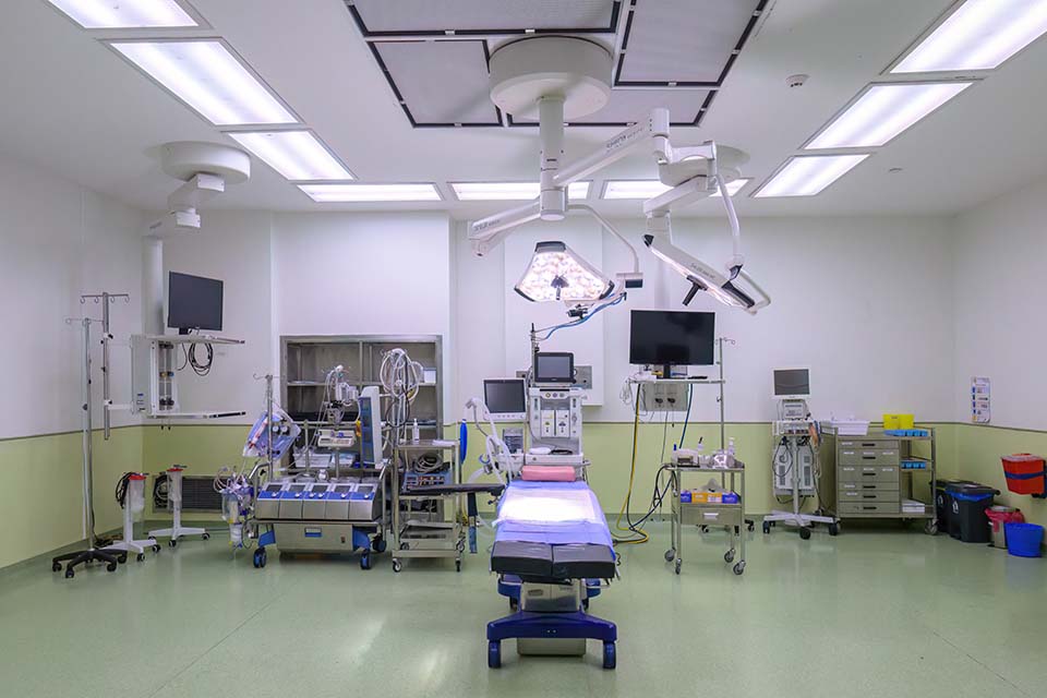 PHH_2024_12928.jpg
