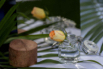 Sandanilla_2015_00008.jpg