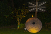 Sandanilla_2015_00236.jpg