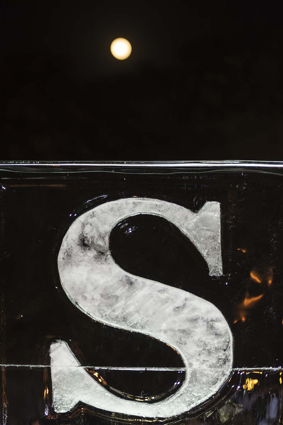 Sandanilla_2015_00478.jpg