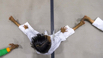 StarCity_2021_01568.jpg