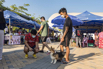 StarCity_2021_00901.jpg