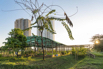 StarCity_2021_02619.jpg