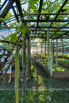 StarCity_2021_02632.jpg