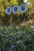 StarCity_2022_00024.jpg