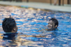 StarCity_2021_01667.jpg