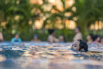 StarCity_2021_01677.jpg