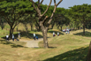 StarCity_2021_03382.jpg