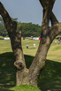 StarCity_2021_03384.jpg