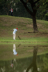 StarCity_Golf_2024_01838.jpg